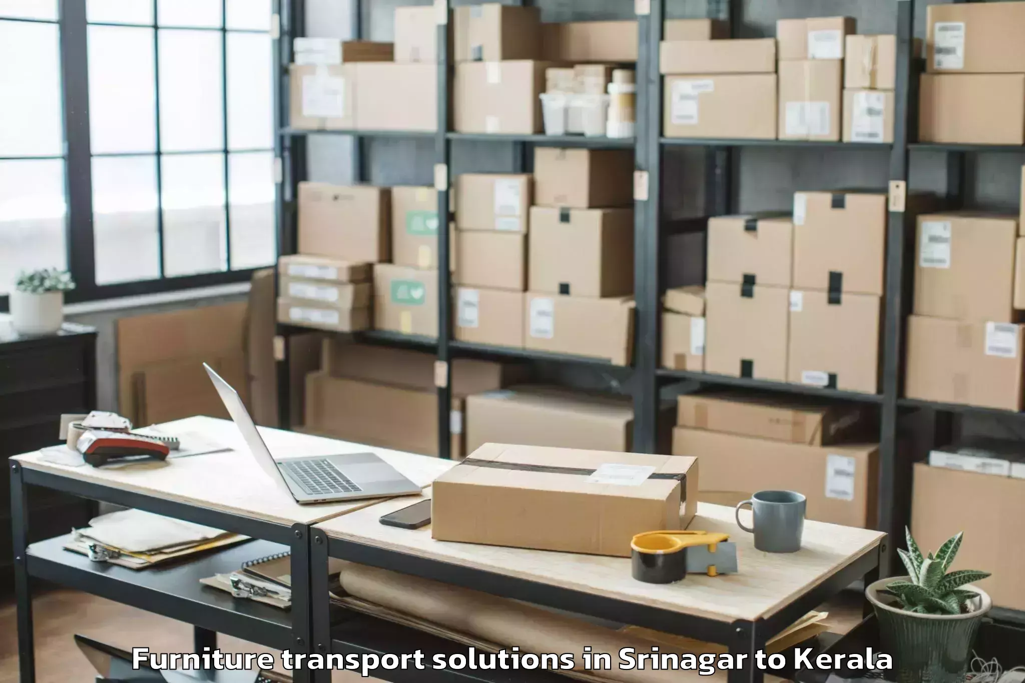 Book Srinagar to Karunagappally Furniture Transport Solutions Online